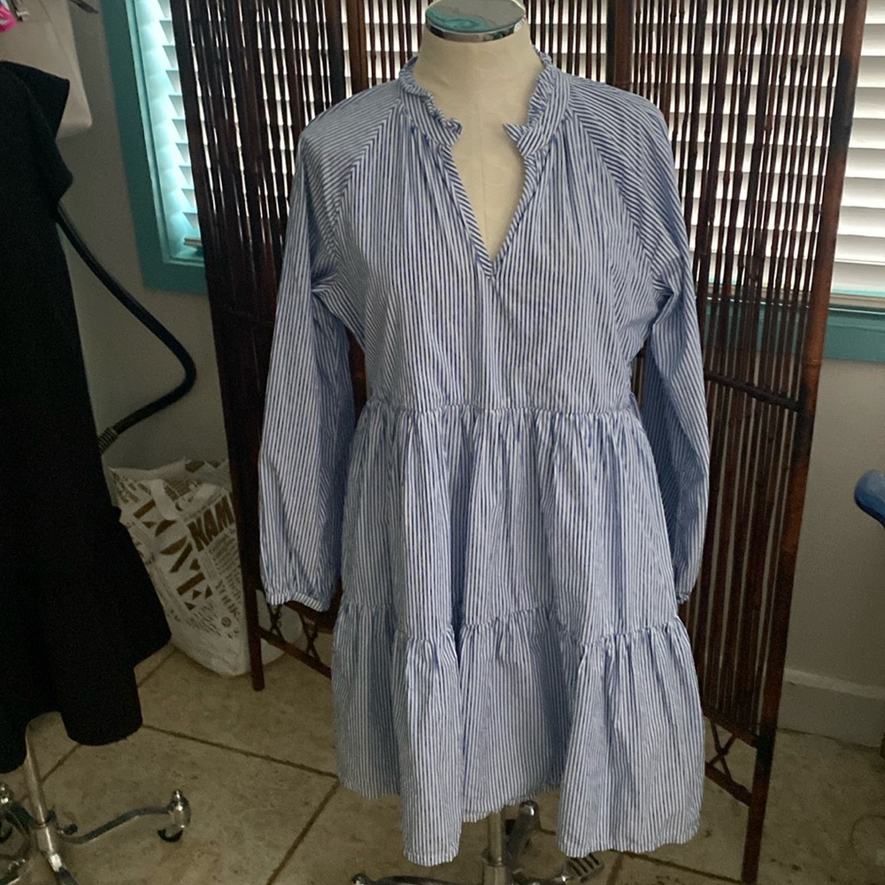 J. Crew Long Sleeve Blue and White Striped Dress